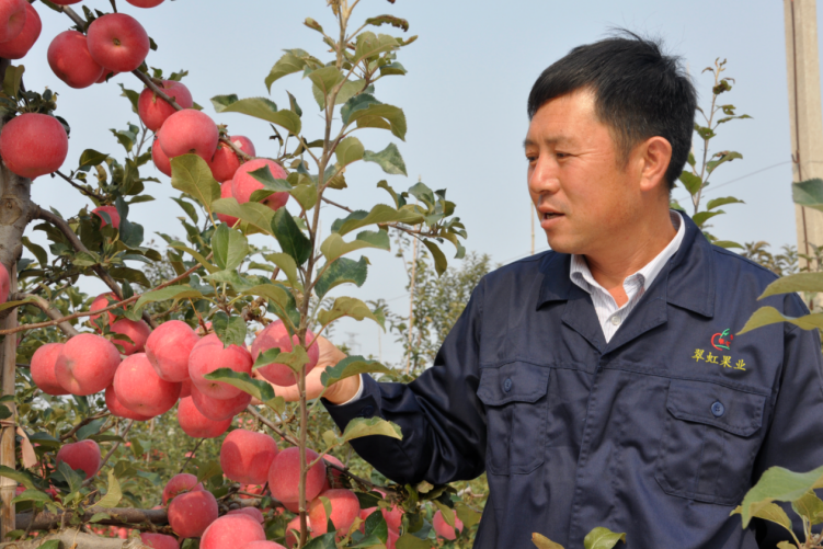 翠虹果品岳建東：市首屆“十佳”新型職業(yè)農民 現代果業(yè)的探路人(圖1)